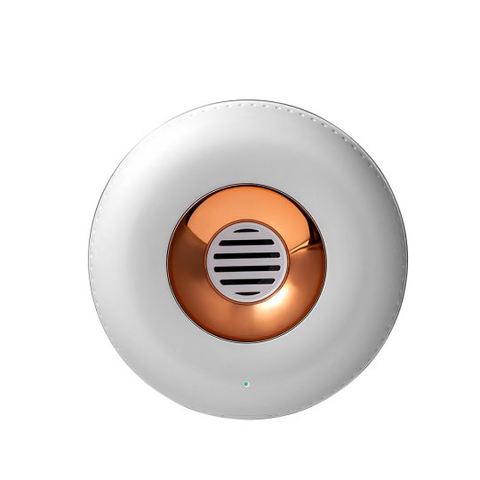GXZ-RD1 Ozone Generator Fridge Deodorant Fresh Keeping Sterilization Refrigerator Odor Absorber Smell Remover Air Cleaner Purifier