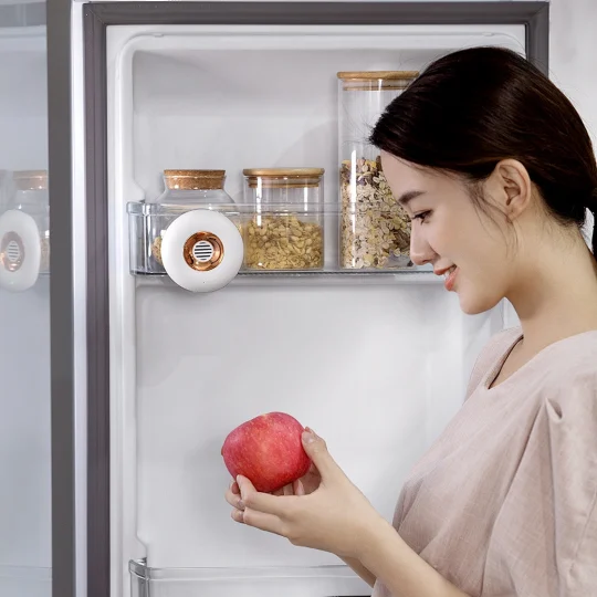 GXZ-RD1 Ozone Generator Fridge Deodorant Fresh Keeping Sterilization Refrigerator Odor Absorber Smell Remover Air Cleaner Purifier
